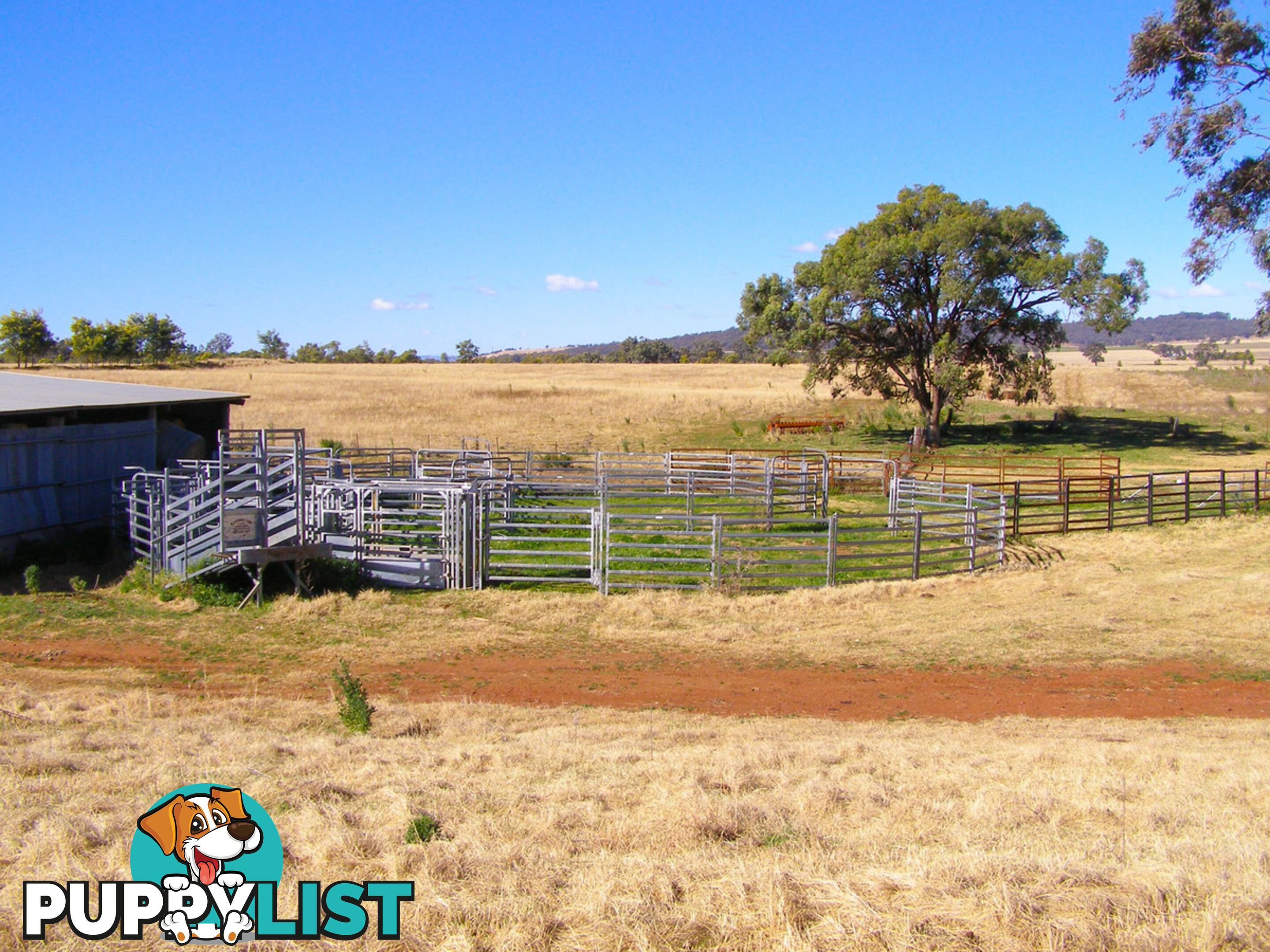 8263 Gwydir Highway INVERELL NSW 2360