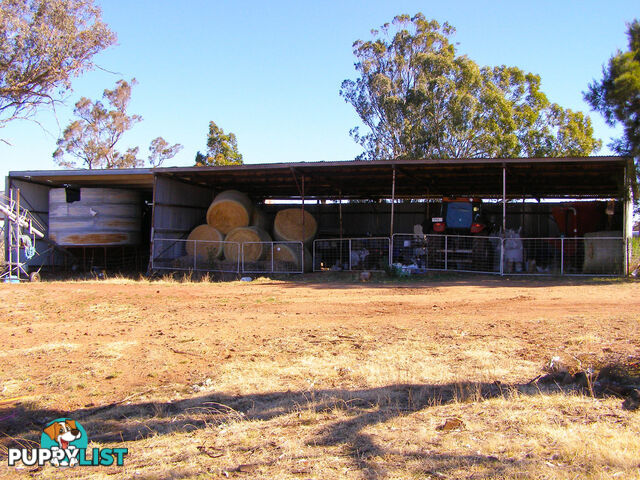 8263 Gwydir Highway INVERELL NSW 2360