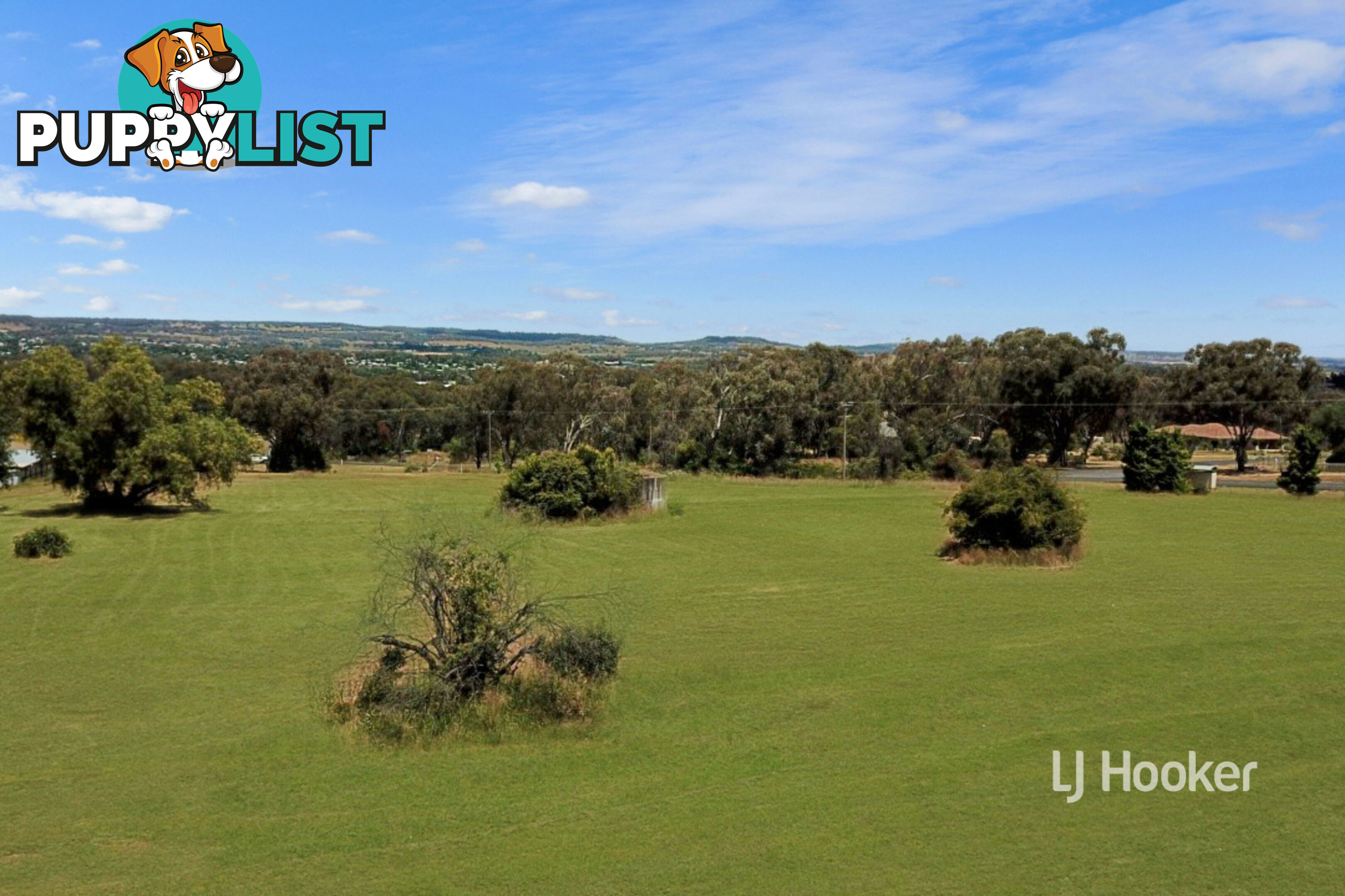 238 Swanbrook Road INVERELL NSW 2360