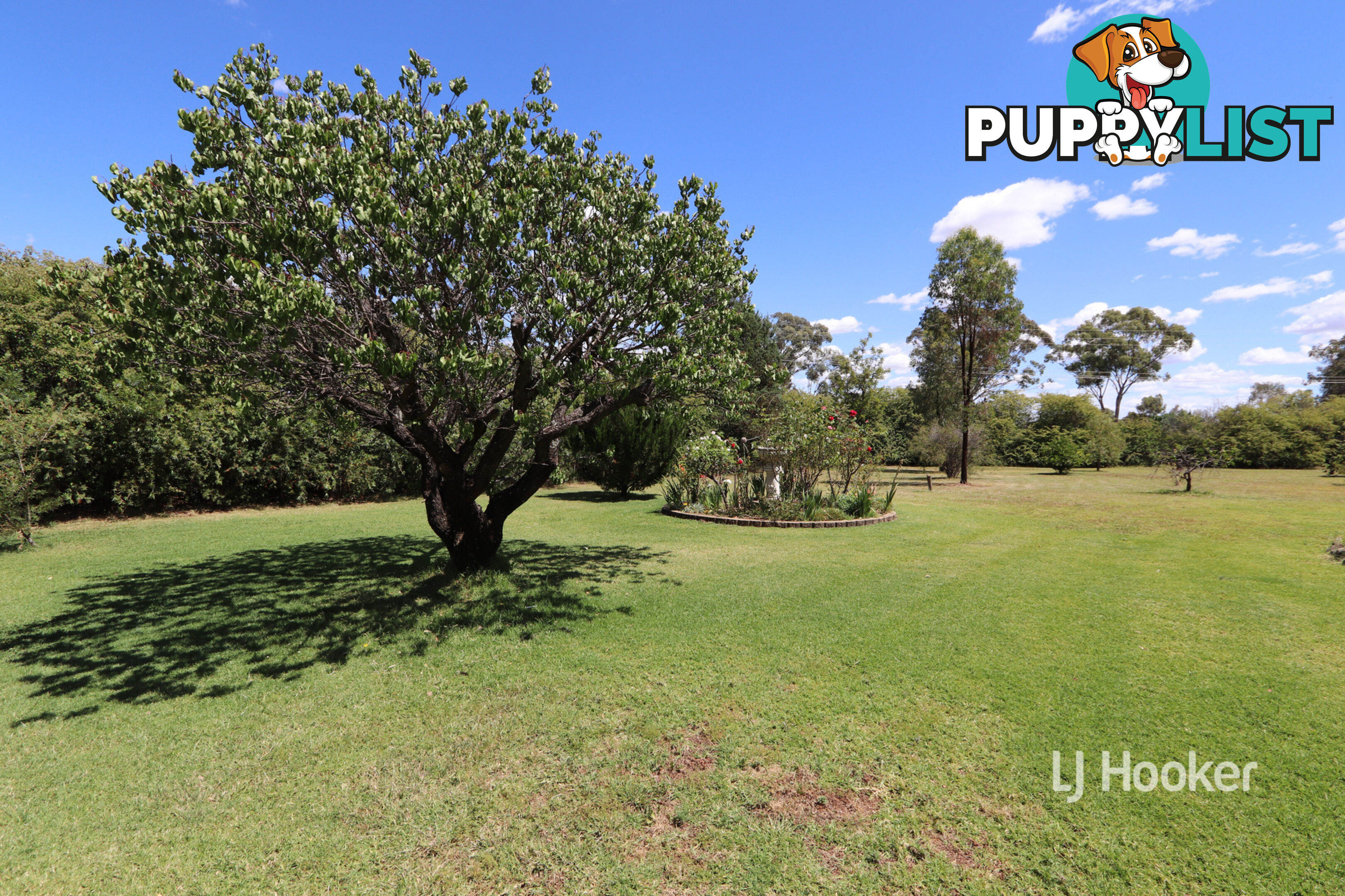 238 Swanbrook Road INVERELL NSW 2360