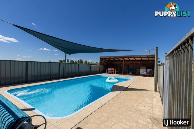 132 Brosnans Lane INVERELL NSW 2360