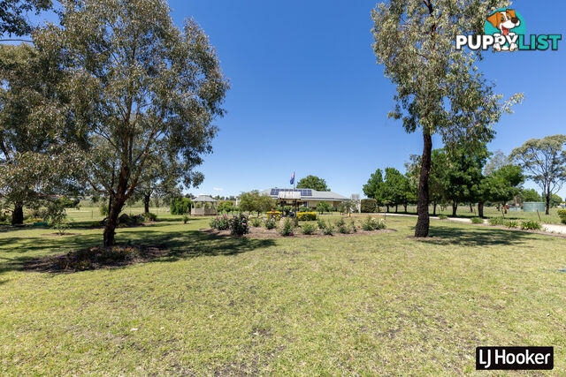 132 Brosnans Lane INVERELL NSW 2360