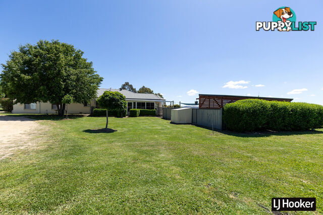 132 Brosnans Lane INVERELL NSW 2360