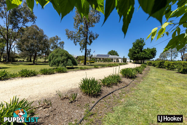 132 Brosnans Lane INVERELL NSW 2360