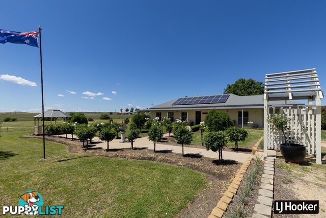 132 Brosnans Lane INVERELL NSW 2360