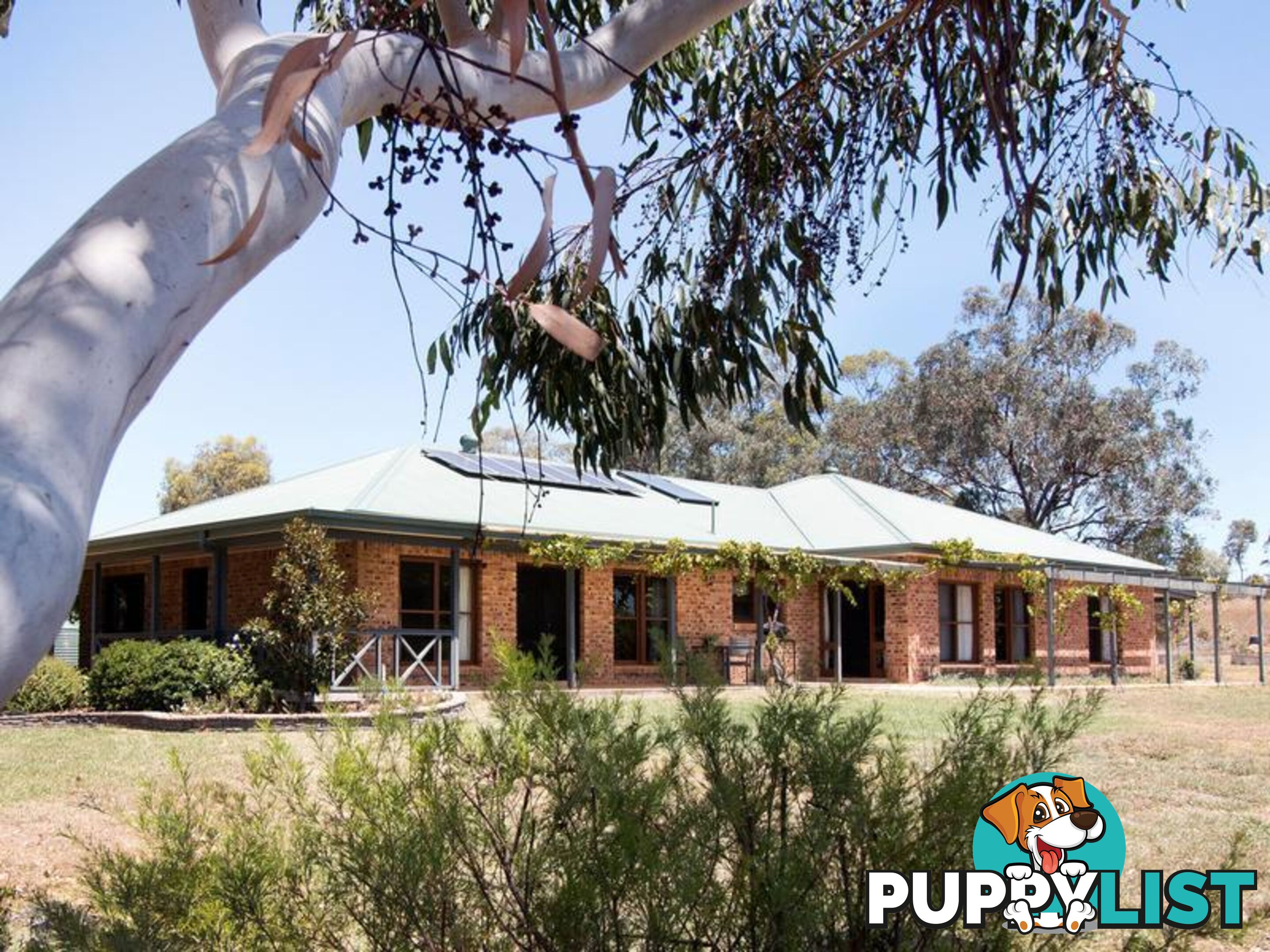 10 Oakland Place INVERELL NSW 2360