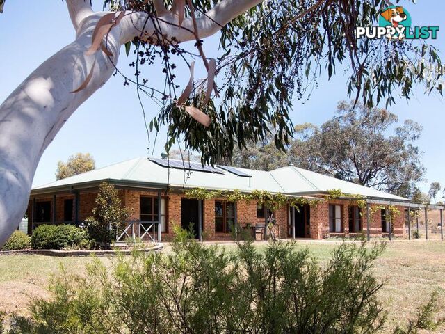 10 Oakland Place INVERELL NSW 2360