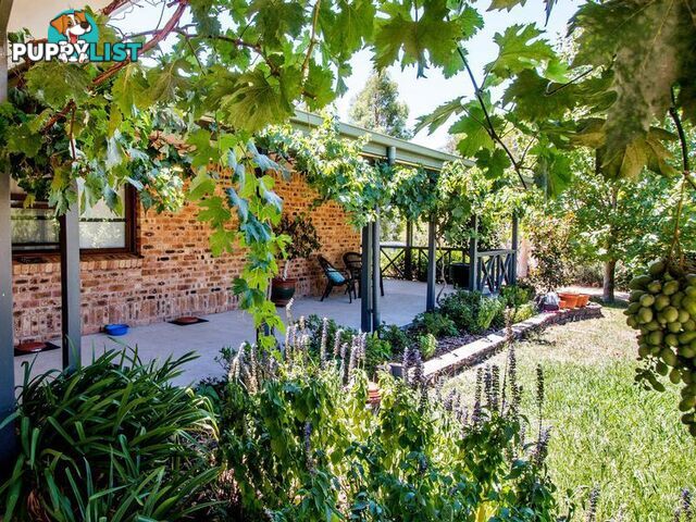 10 Oakland Place INVERELL NSW 2360