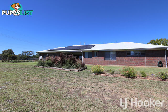 15 Hampton Court INVERELL NSW 2360