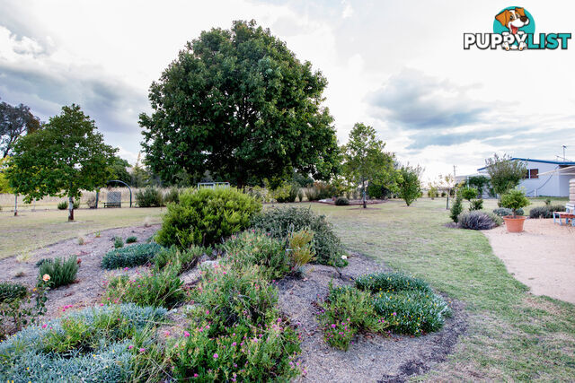 22 Hampton Court INVERELL NSW 2360