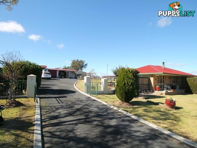 3 Worthington Street BUNDARRA NSW 2359