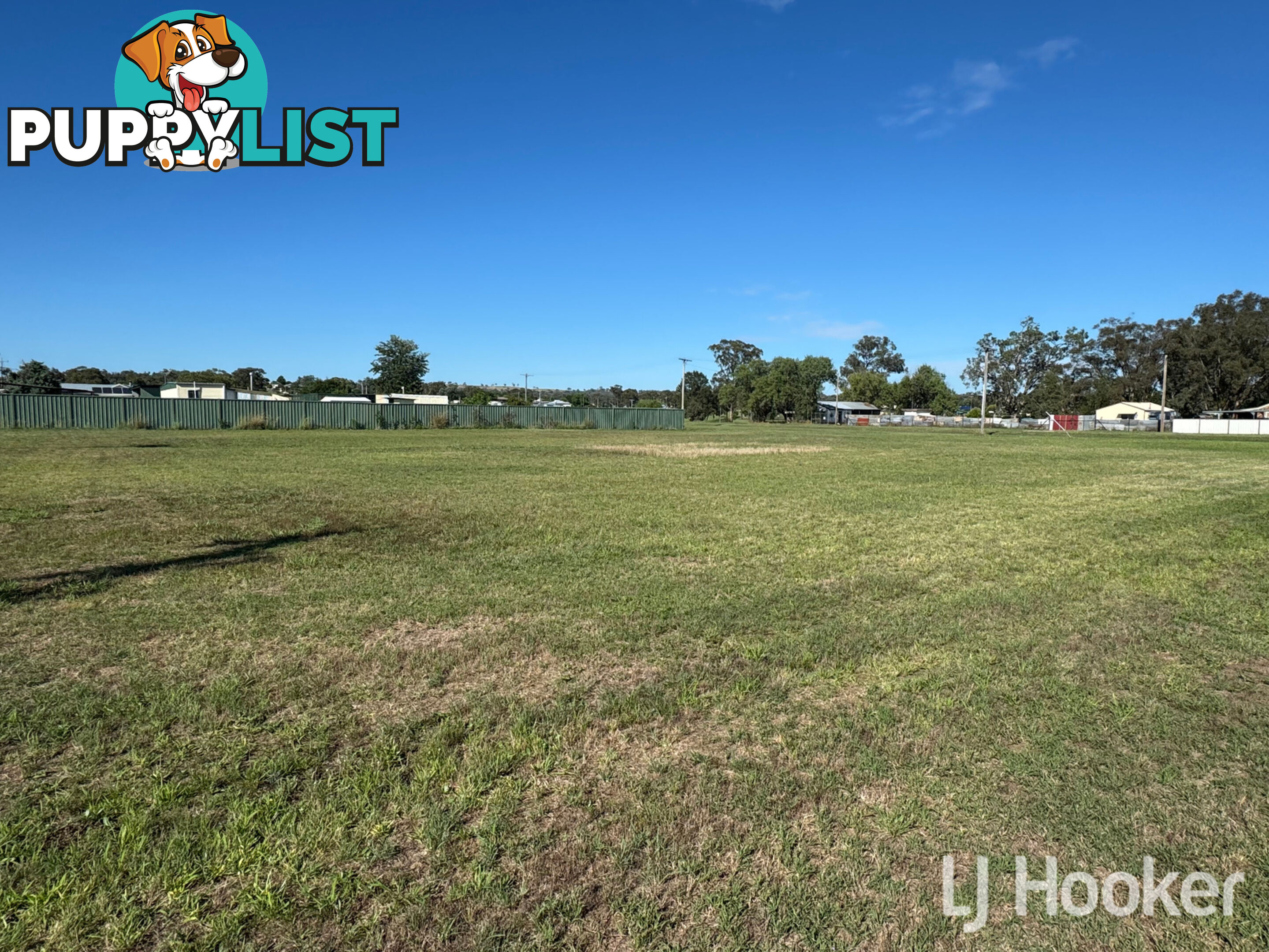 37 Dudley Street ASHFORD NSW 2361