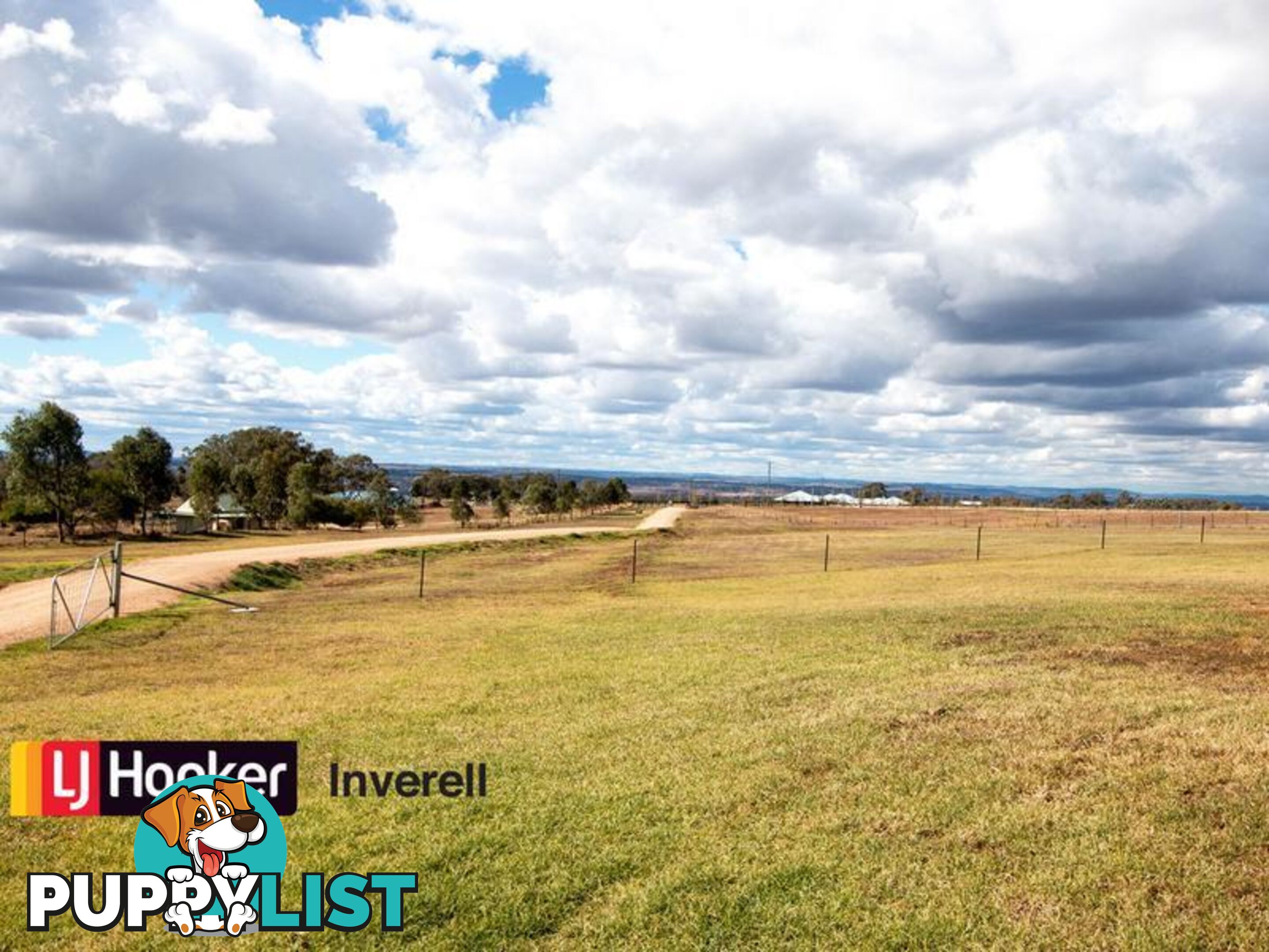 142 Roscrae Lane INVERELL NSW 2360