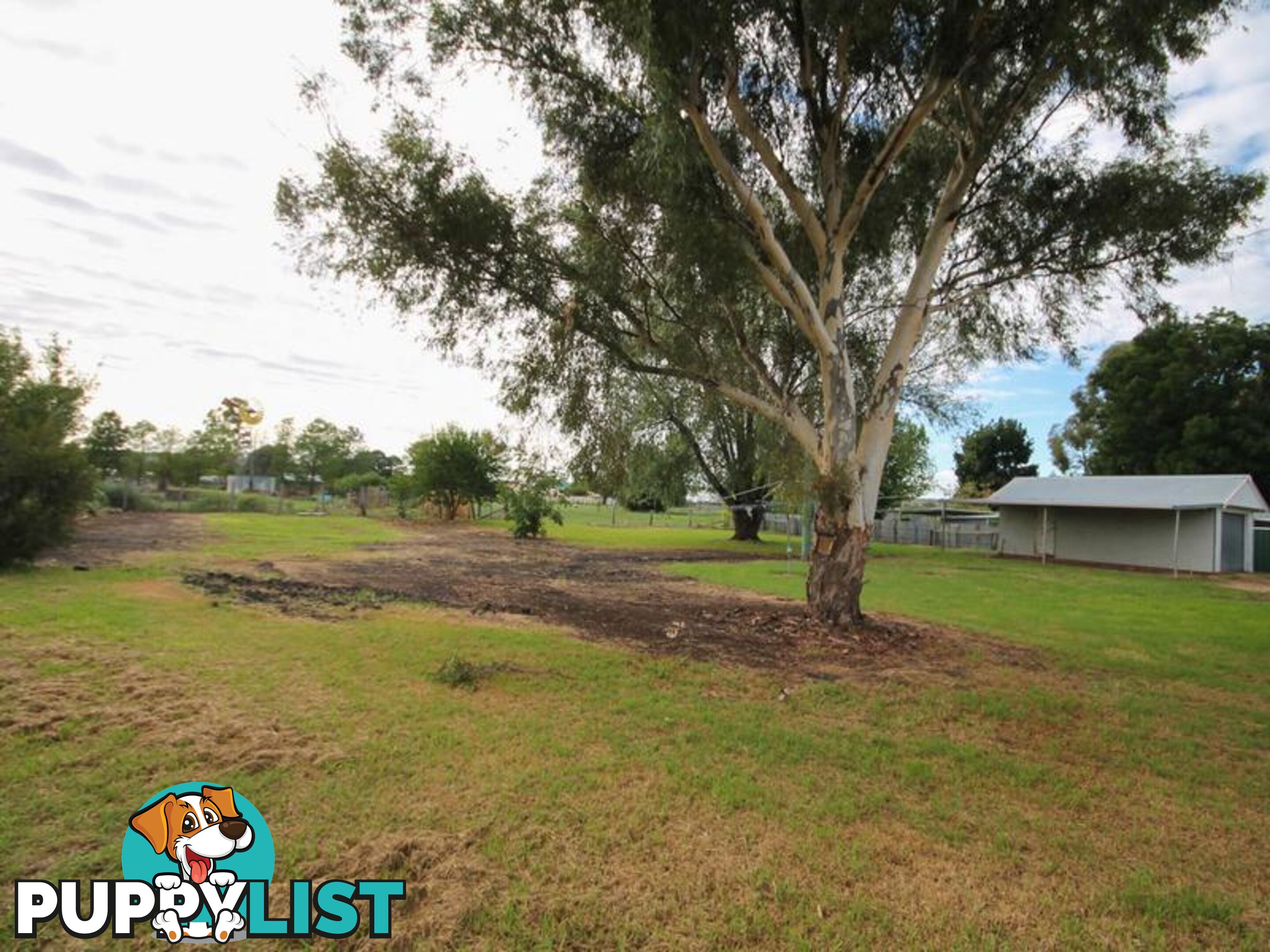 6 William Street INVERELL NSW 2360