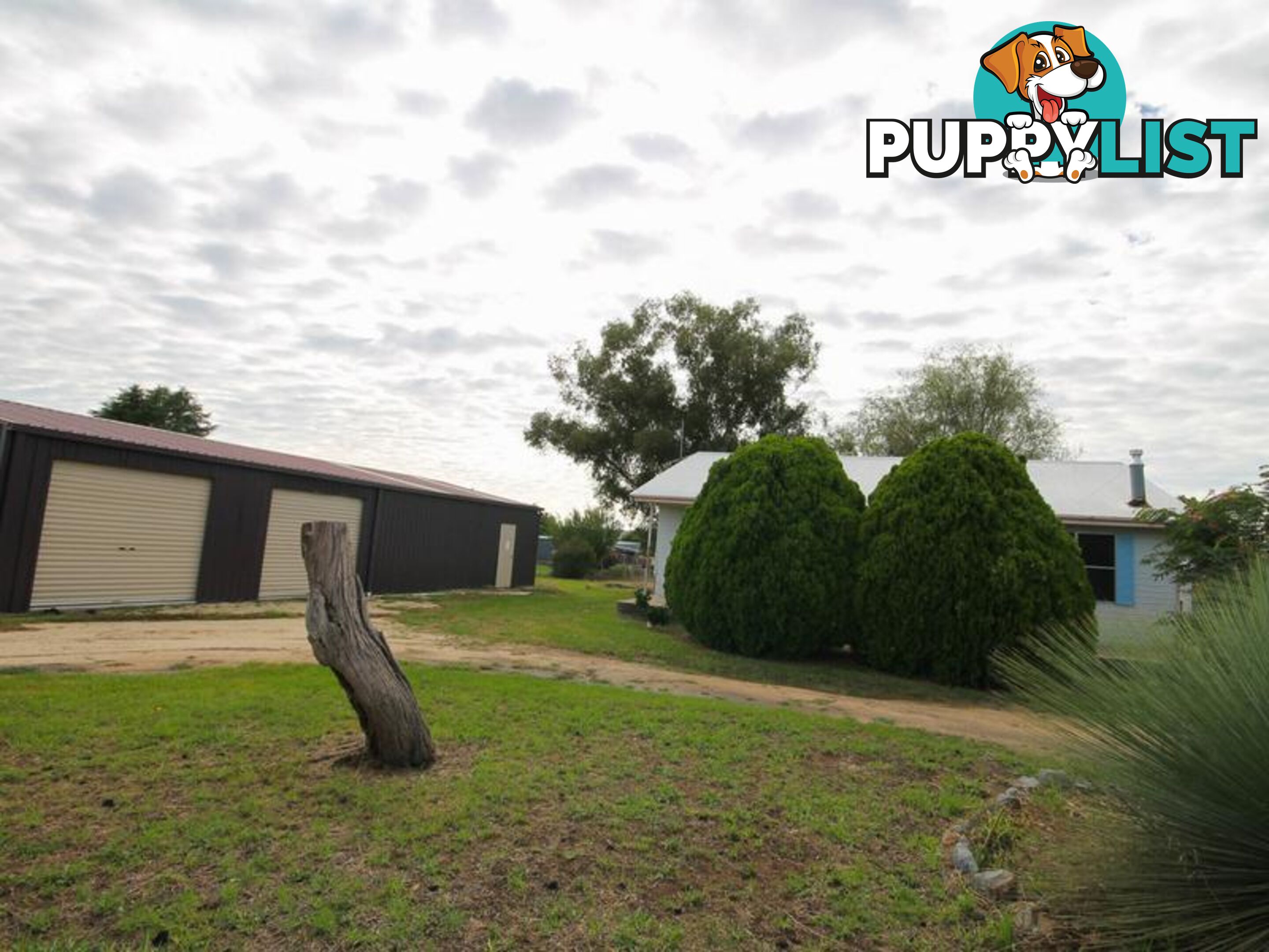 6 William Street INVERELL NSW 2360