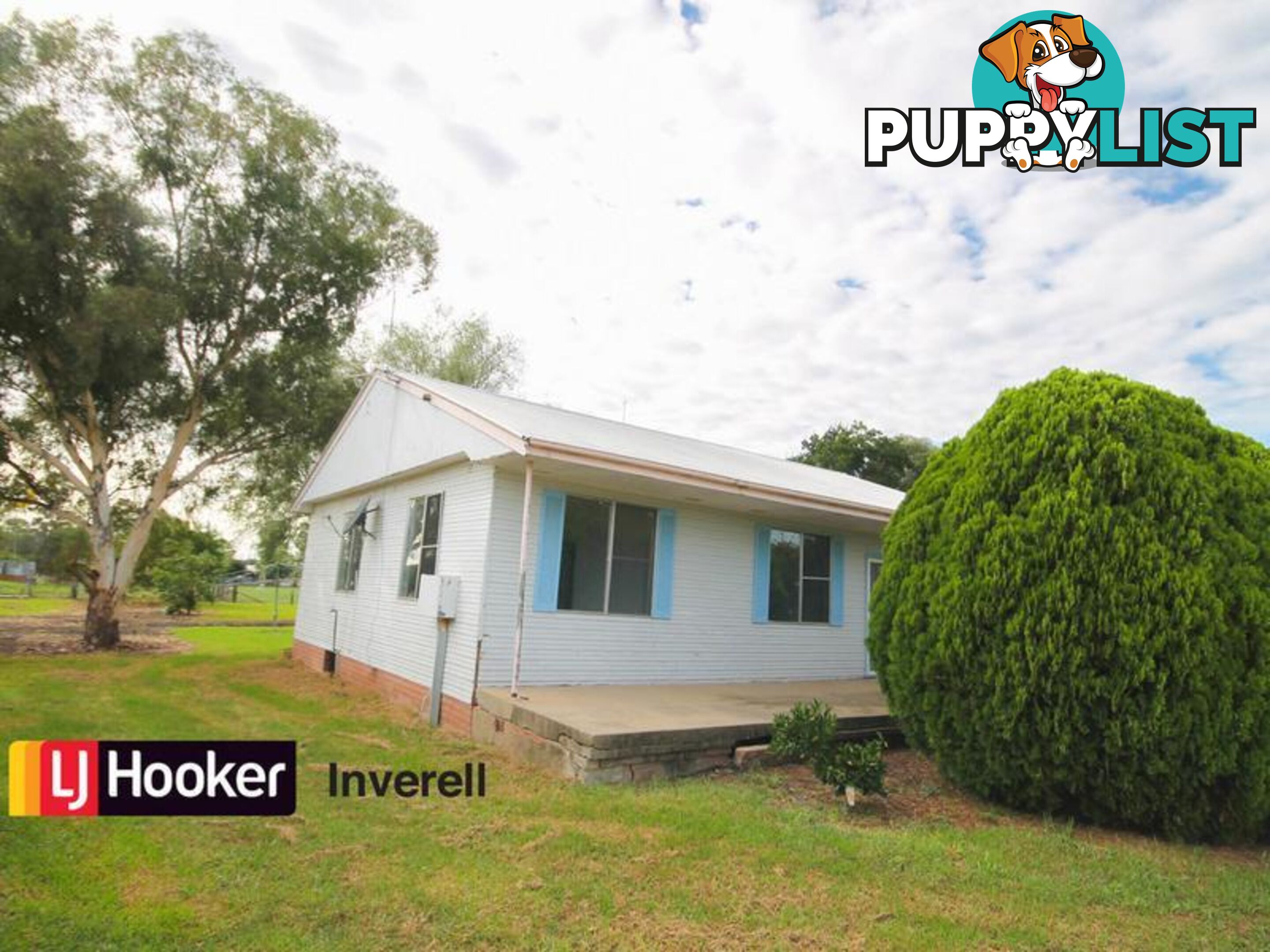 6 William Street INVERELL NSW 2360