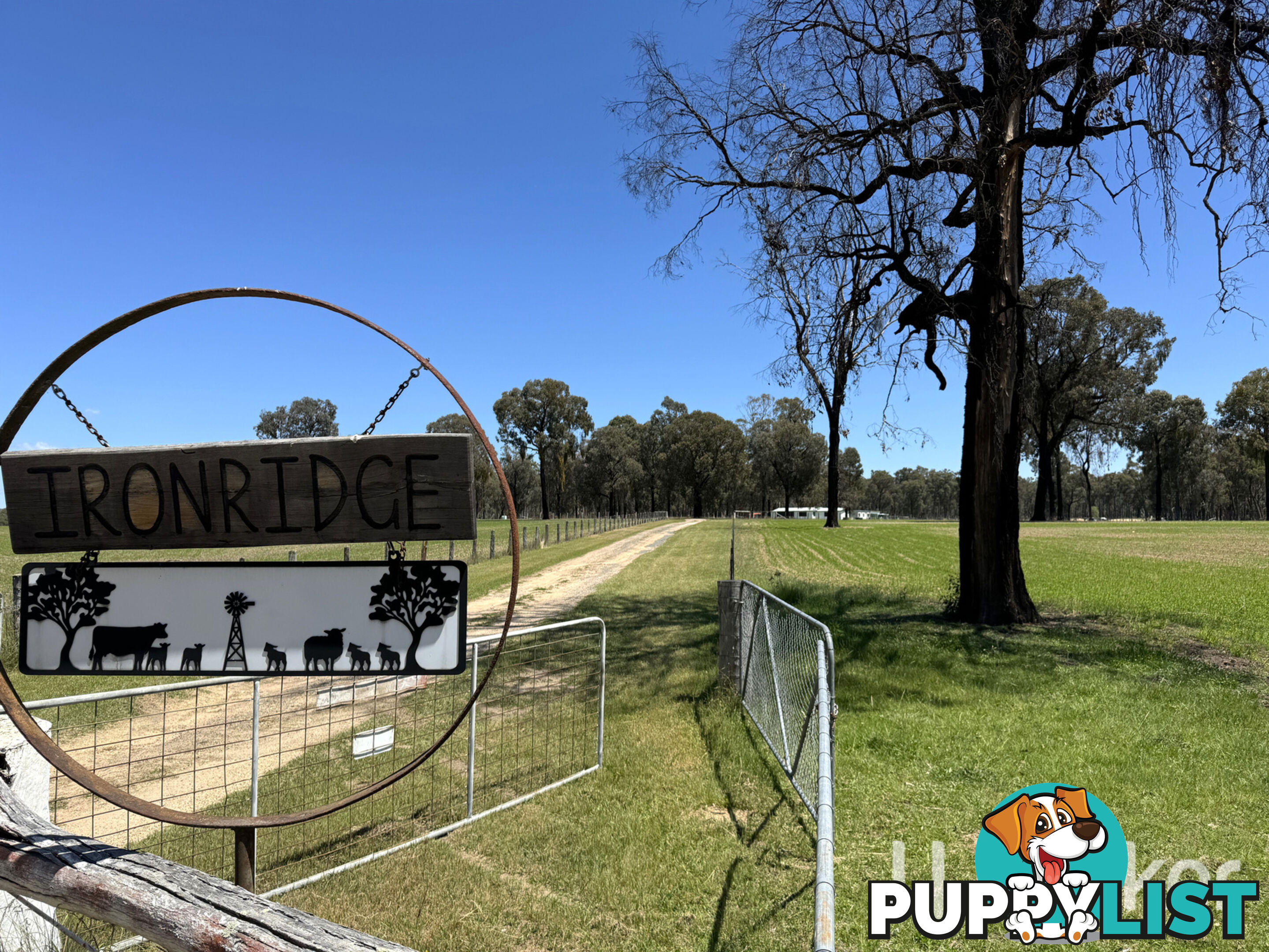 200 Aberdeen Road INVERELL NSW 2360