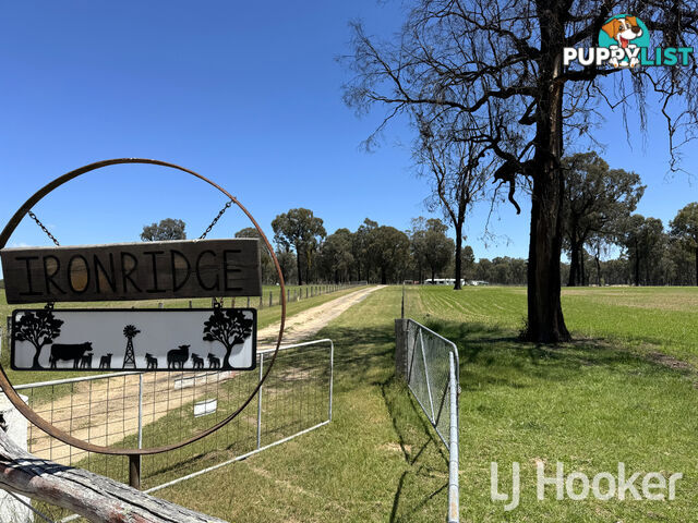 200 Aberdeen Road STANBOROUGH NSW 2360