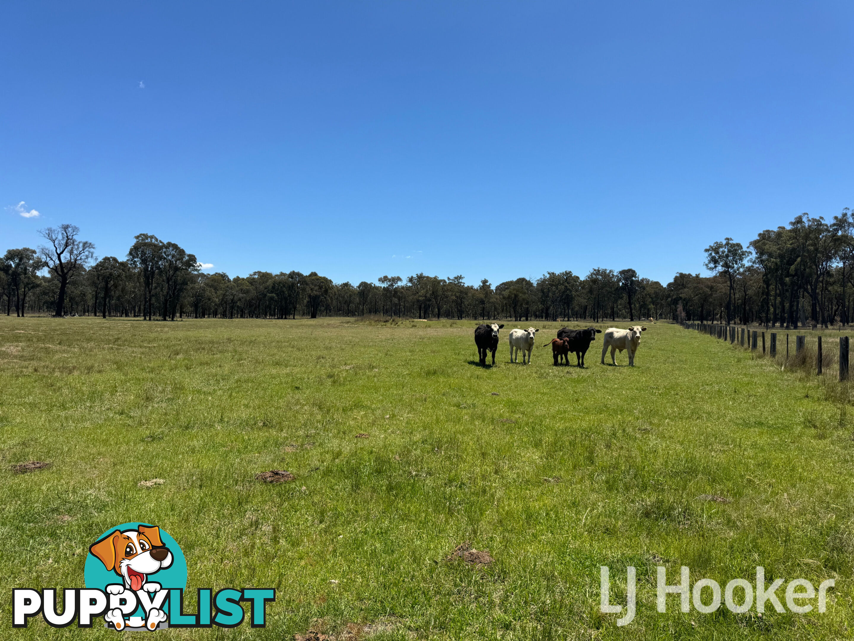 200 Aberdeen Road INVERELL NSW 2360