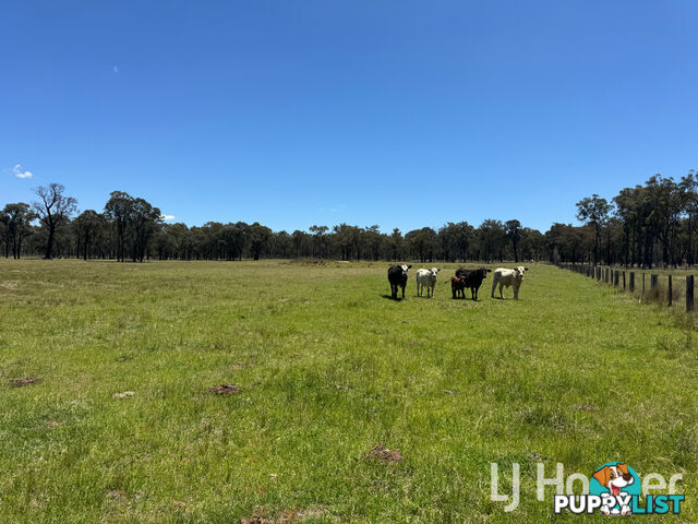 200 Aberdeen Road INVERELL NSW 2360