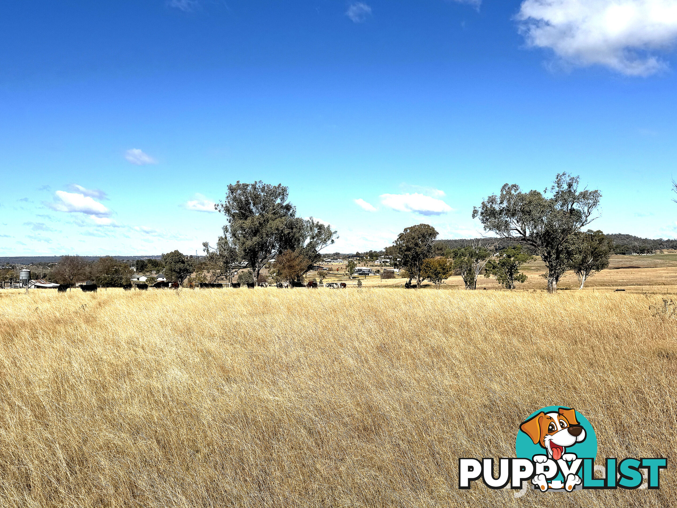 Lot 102 Fernhill Road INVERELL NSW 2360