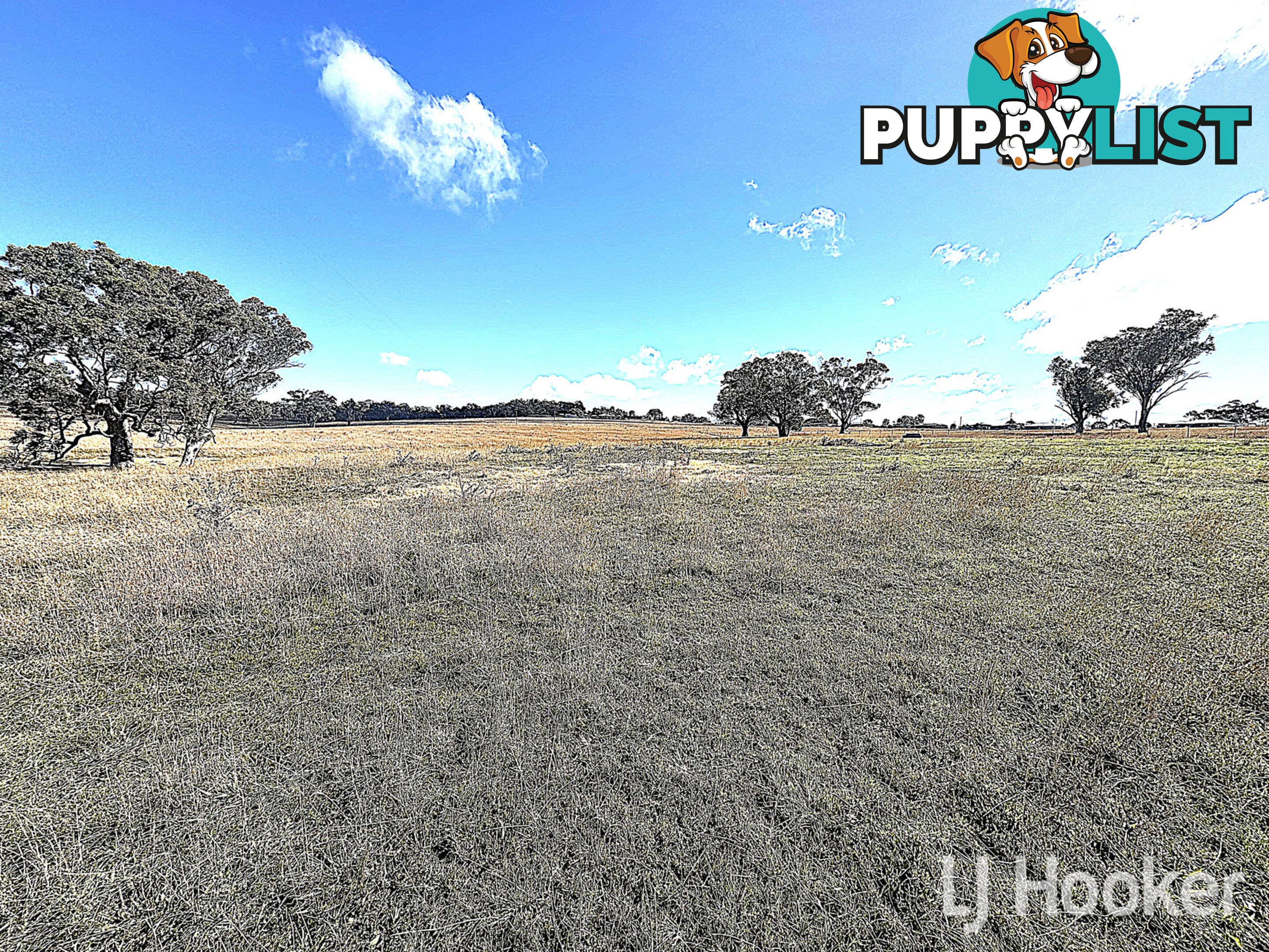 Lot 102 Fernhill Road INVERELL NSW 2360