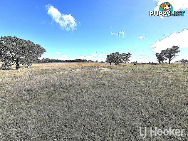 Lot 102 Fernhill Road INVERELL NSW 2360