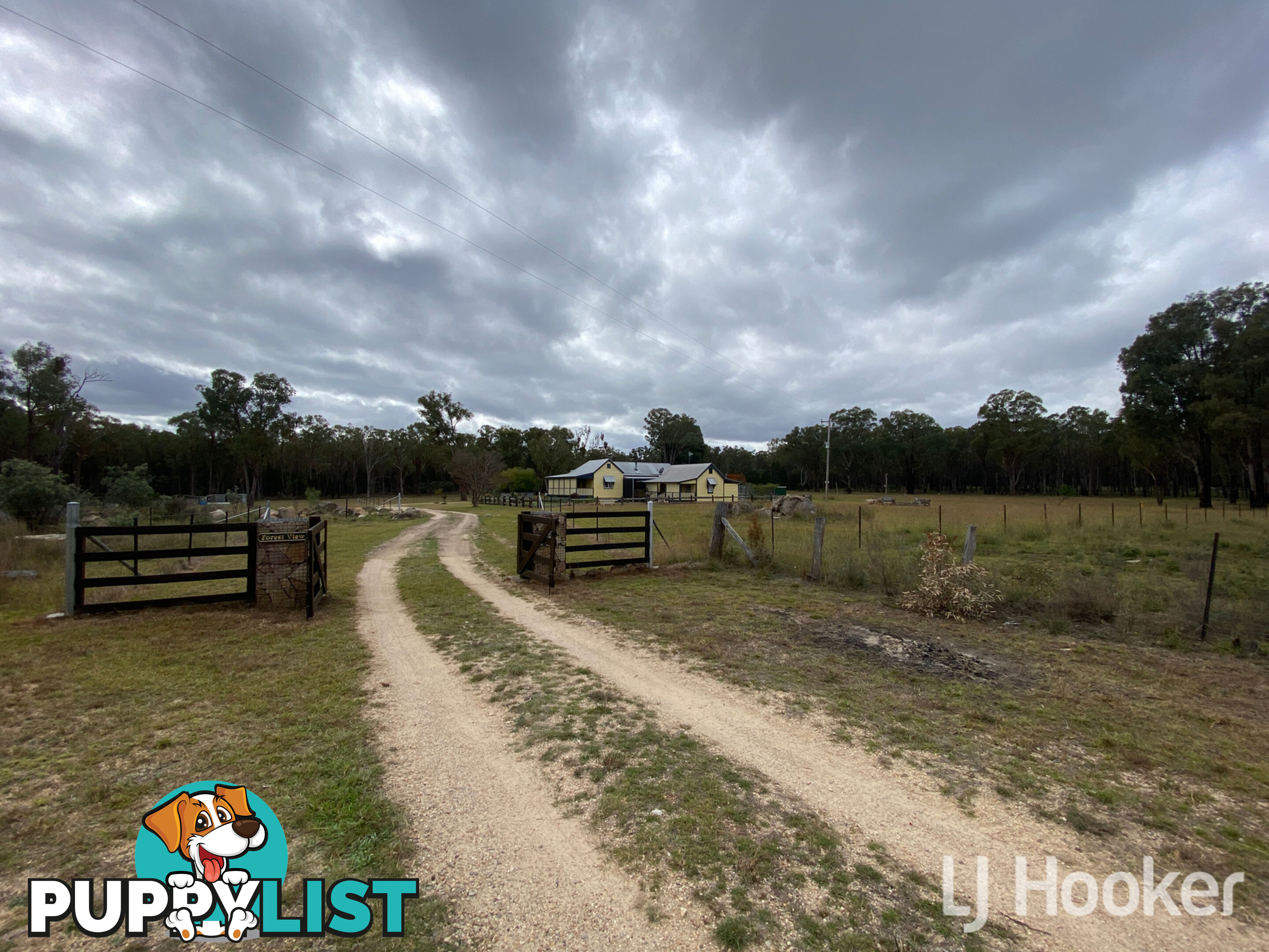 445 Old Stannifer Road GILGAI NSW 2360