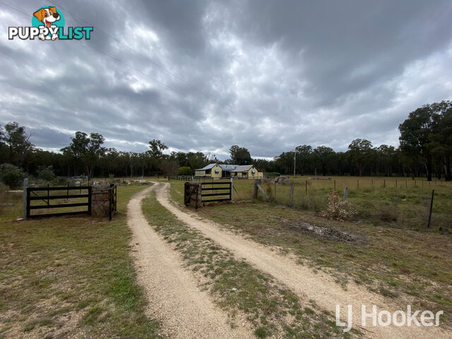 445 Old Stannifer Road GILGAI NSW 2360