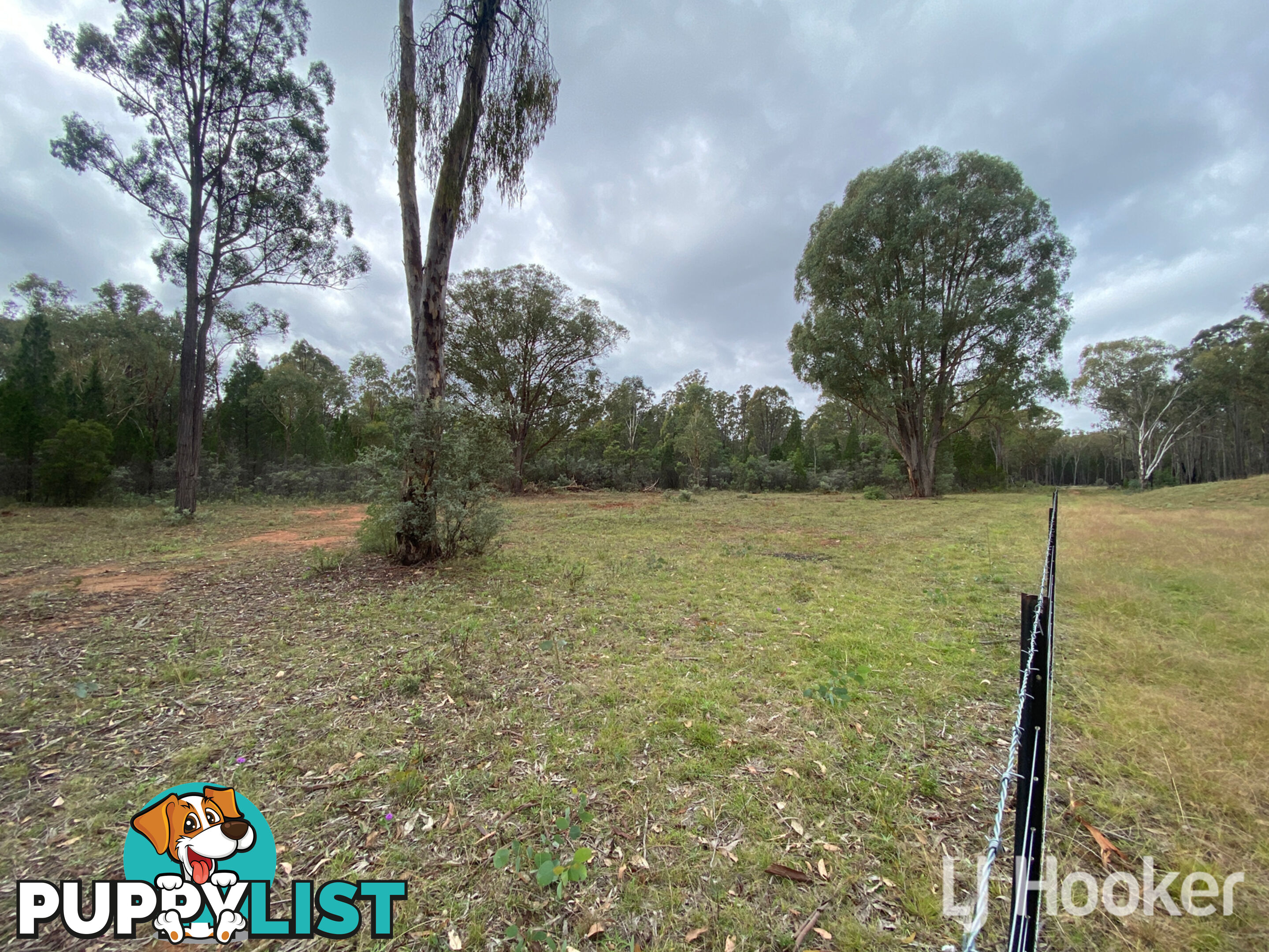 445 Old Stannifer Road GILGAI NSW 2360