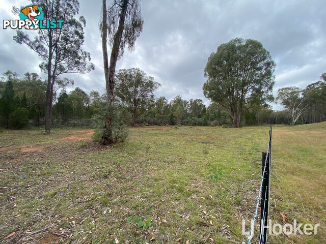 445 Old Stannifer Road GILGAI NSW 2360