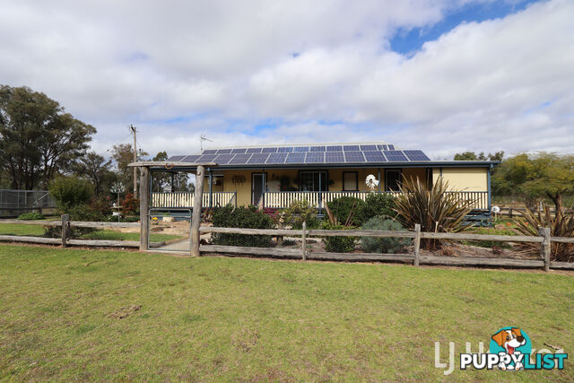 445 Old Stannifer Road GILGAI NSW 2360
