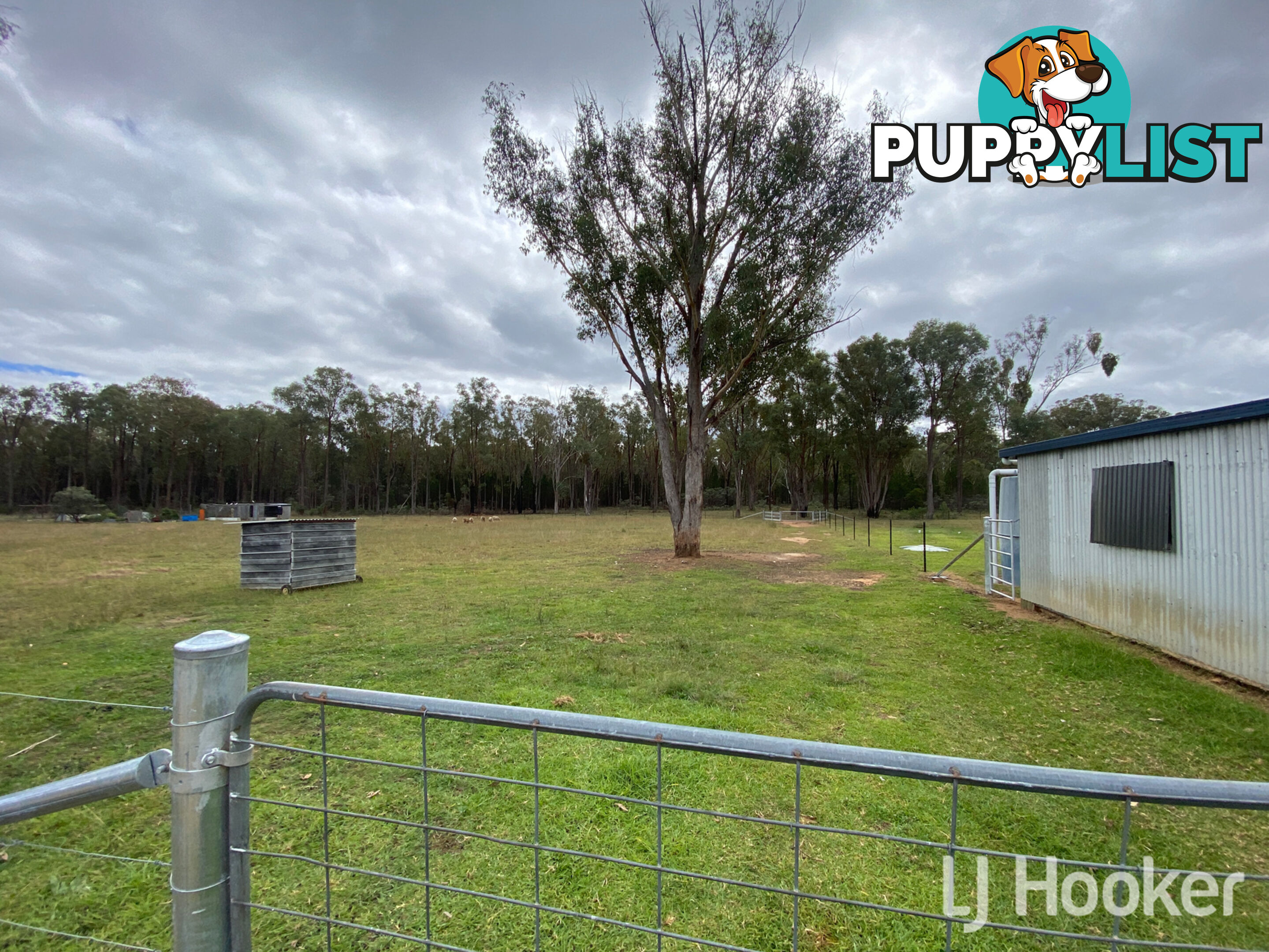 445 Old Stannifer Road GILGAI NSW 2360