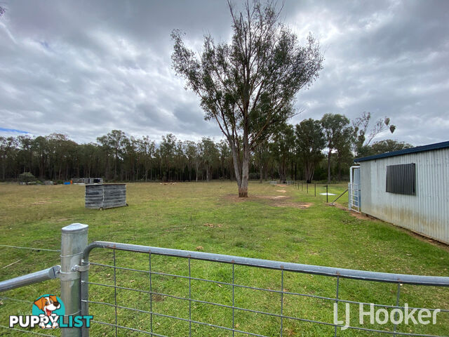 445 Old Stannifer Road GILGAI NSW 2360