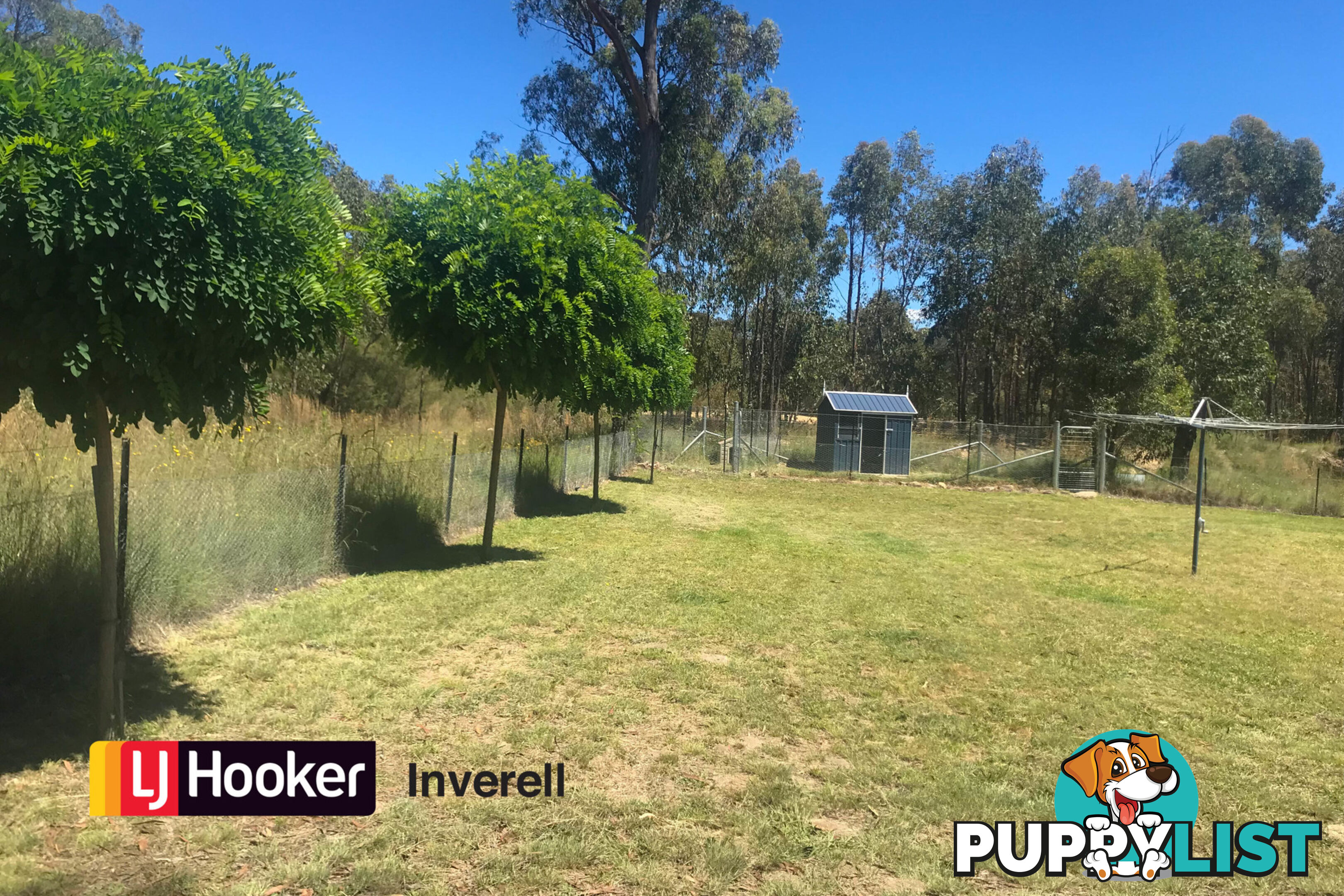 311 Old Stannifer Road INVERELL NSW 2360