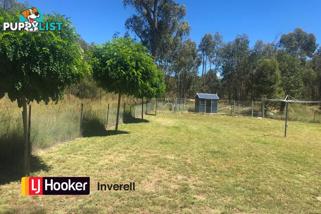 311 Old Stannifer Road INVERELL NSW 2360