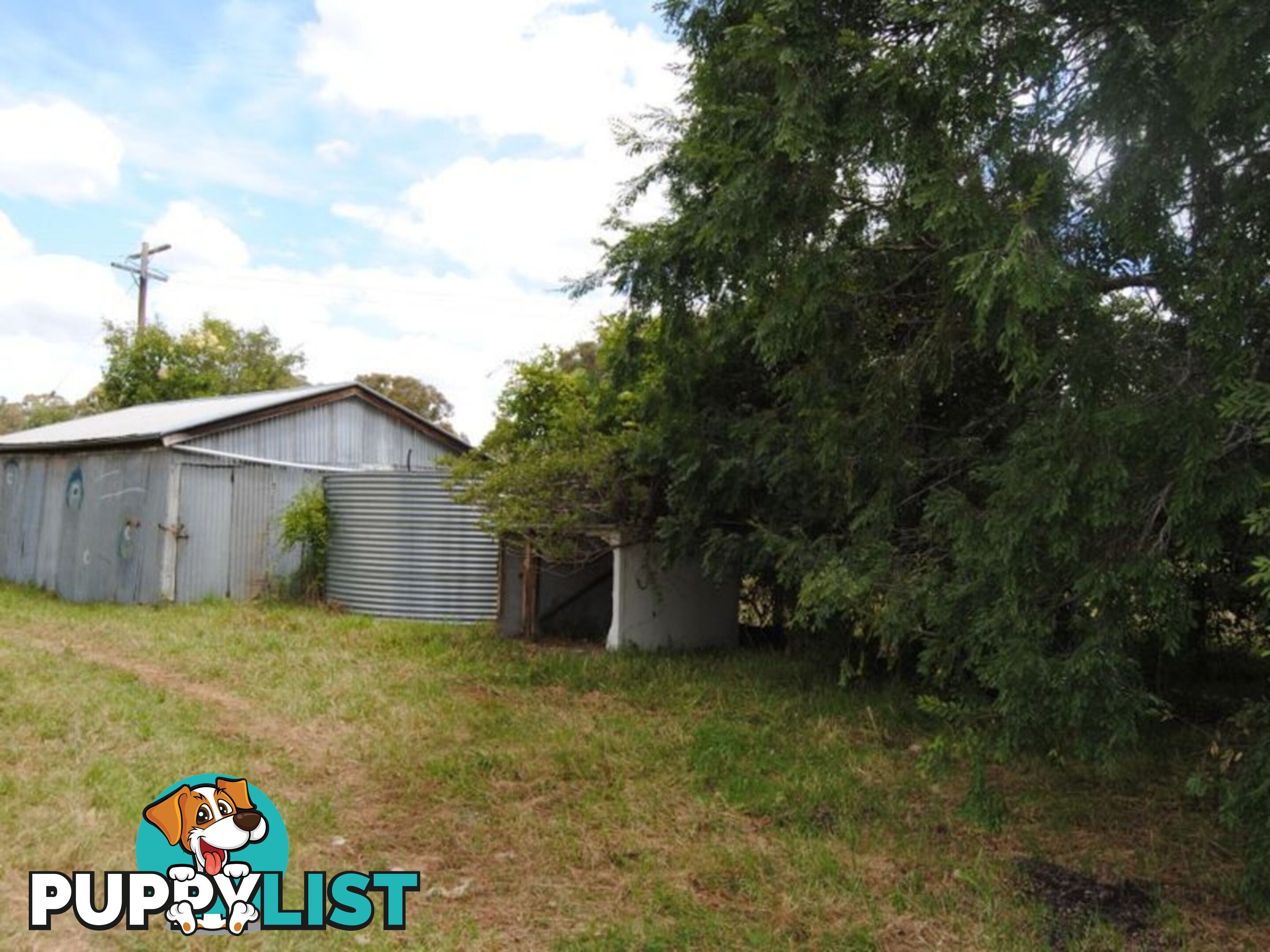 15263 Guyra Road INVERELL NSW 2360