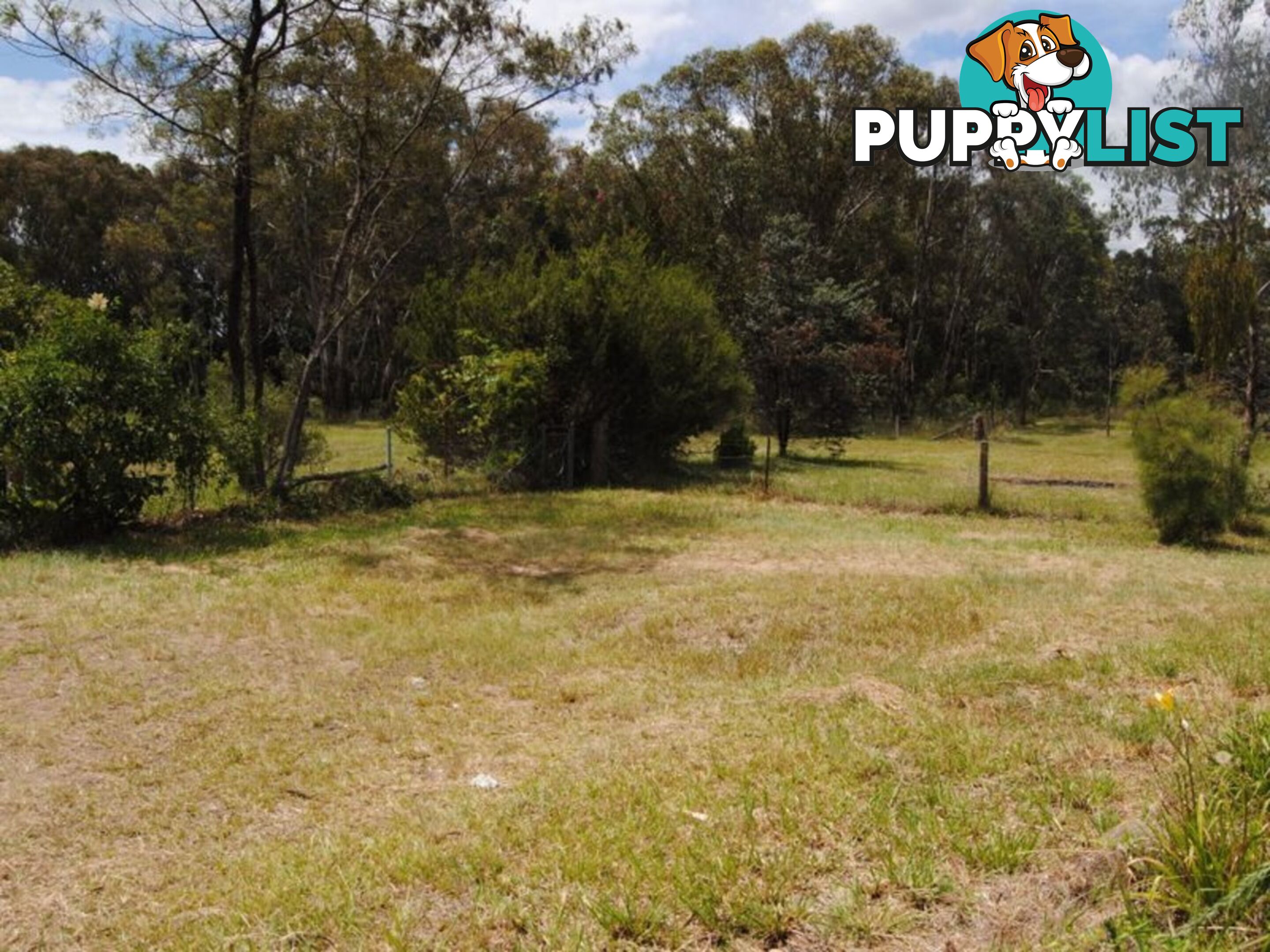 15263 Guyra Road INVERELL NSW 2360