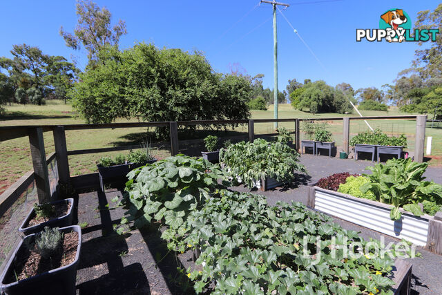 310 Swanbrook Road INVERELL NSW 2360