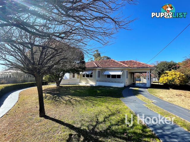 43 Brae Street INVERELL NSW 2360