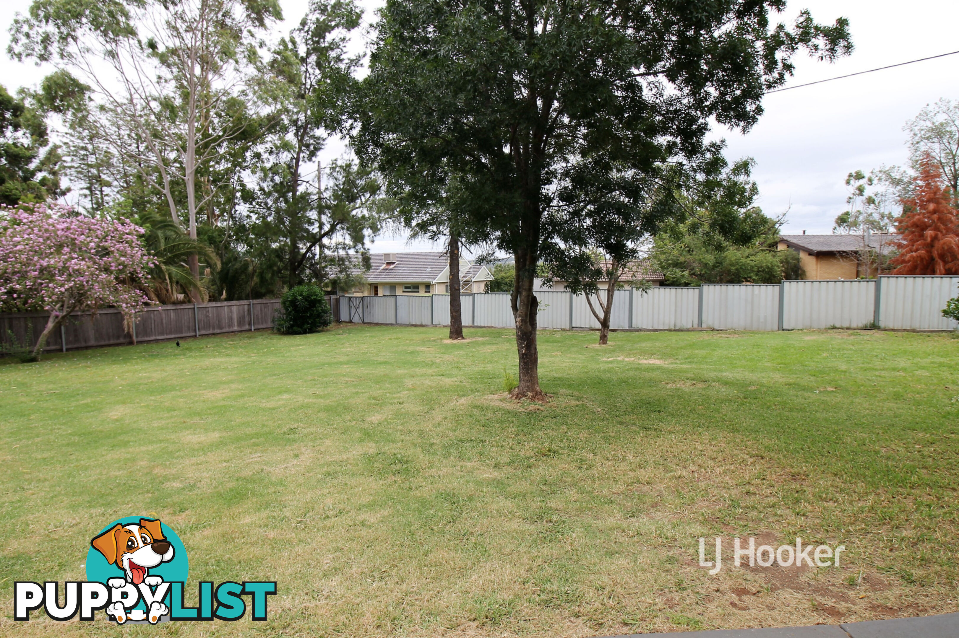 43 Brae Street INVERELL NSW 2360