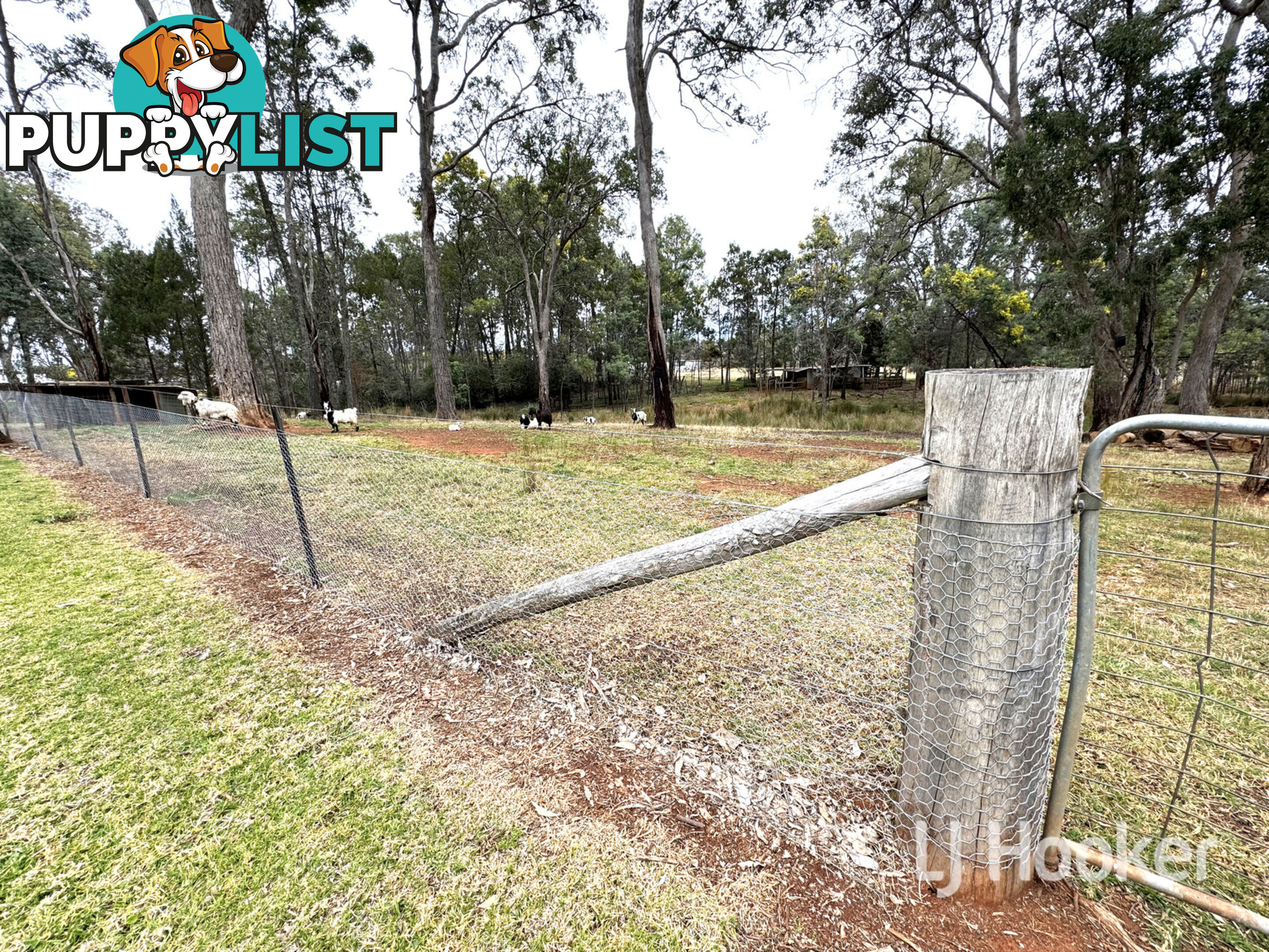 15193 Guyra Road INVERELL NSW 2360