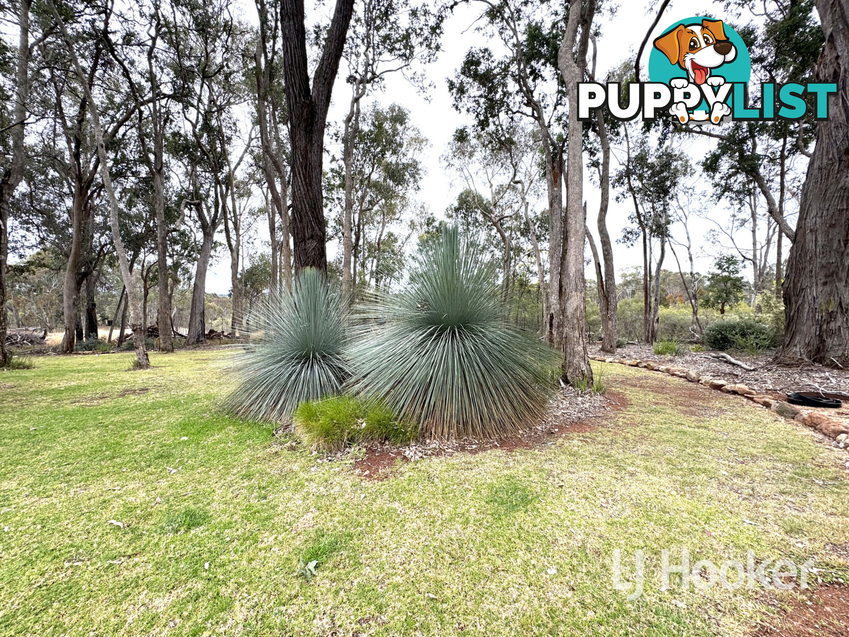 15193 Guyra Road INVERELL NSW 2360