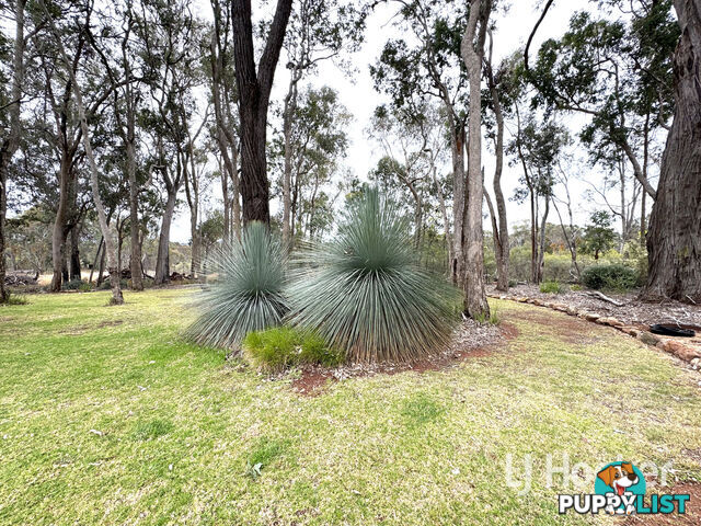 15193 Guyra Road INVERELL NSW 2360