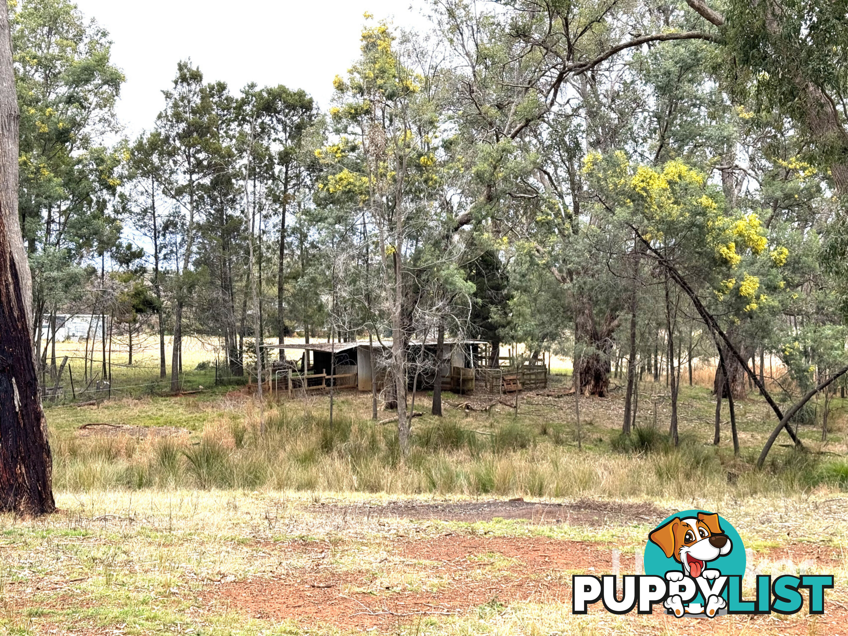 15193 Guyra Road INVERELL NSW 2360