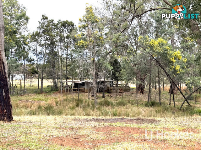 15193 Guyra Road INVERELL NSW 2360