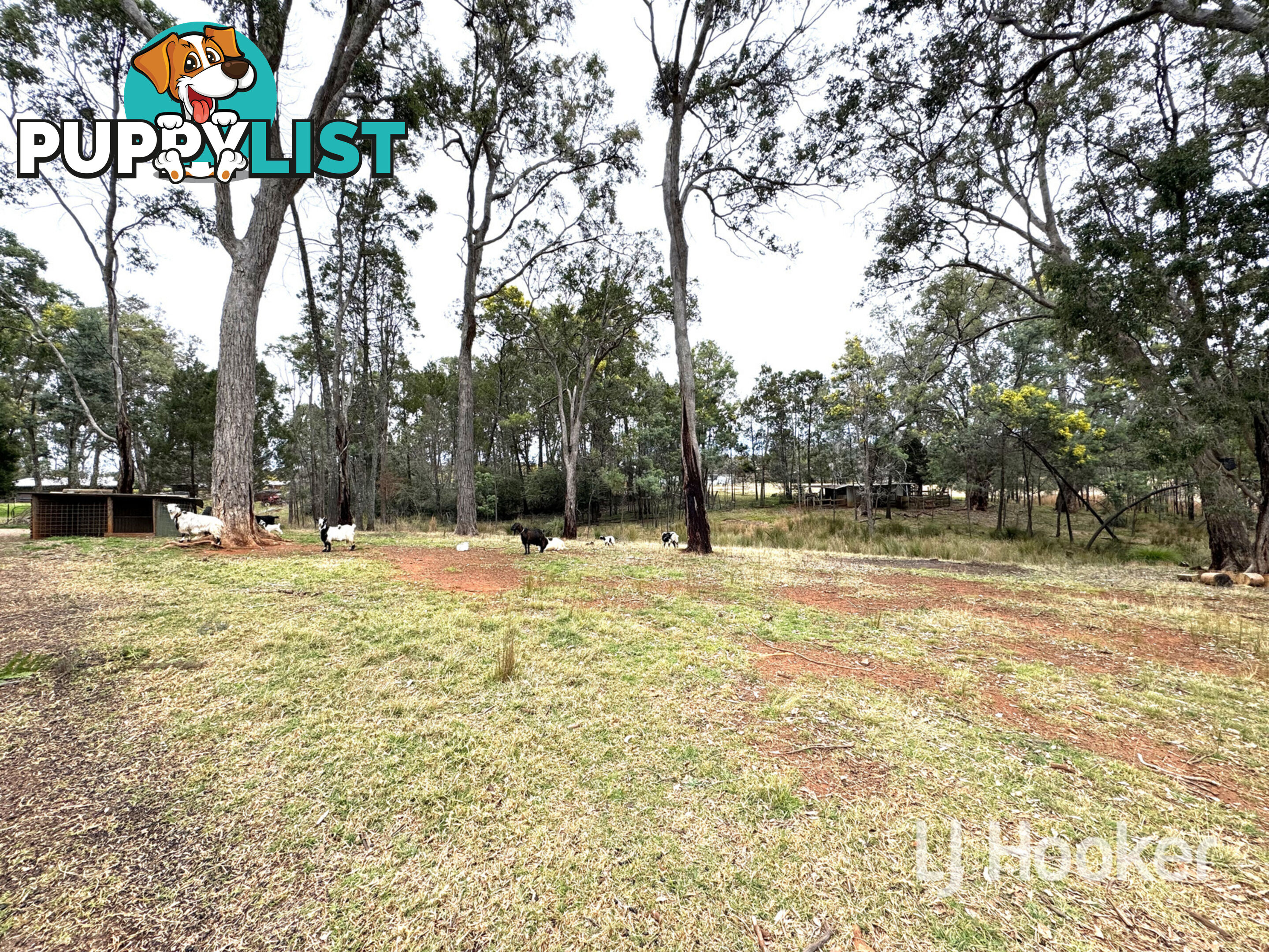 15193 Guyra Road INVERELL NSW 2360