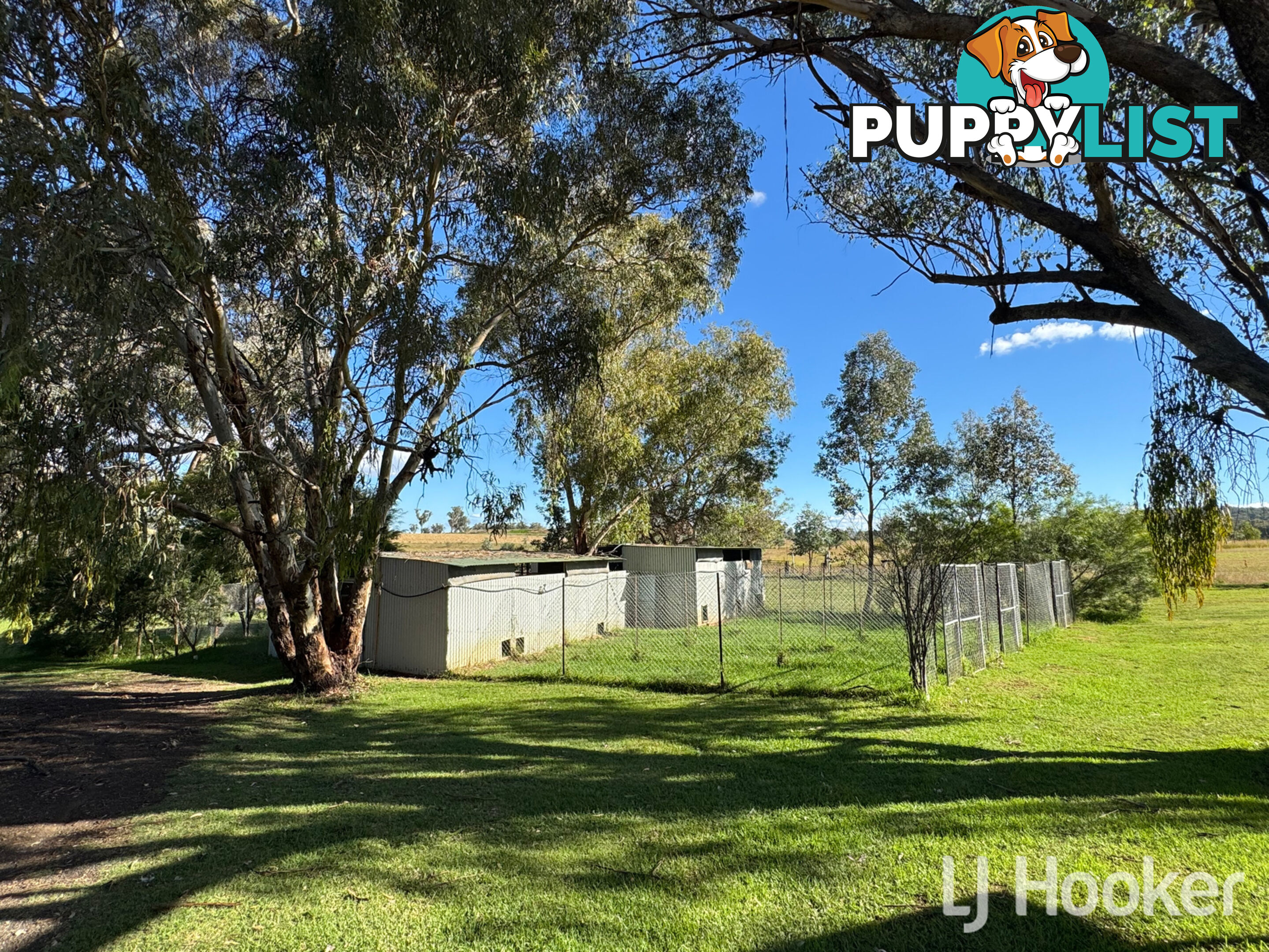 95 Copeton Dam Road INVERELL NSW 2360