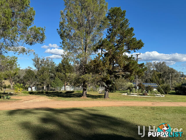 95 Copeton Dam Road INVERELL NSW 2360