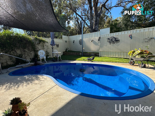 95 Copeton Dam Road INVERELL NSW 2360
